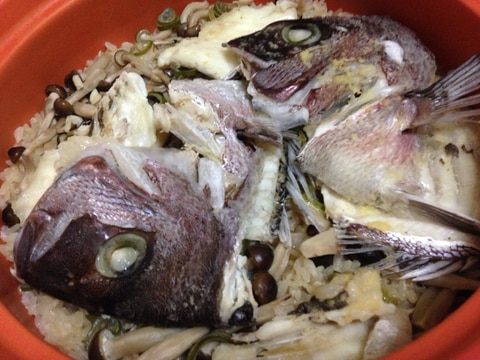鯛・鰆・鱈 炊き込みご飯